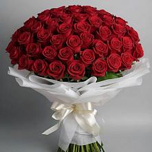 Букет 101 Красная роза Блэк Мэджик в Вёшенской