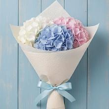 Букет цветов из:  Гортензия #REPLACE_PRED# Вёшенской