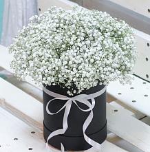 Цветочная композиция из Гипсофила в шляпной коробке #REPLACE_PRED# Вёшенской