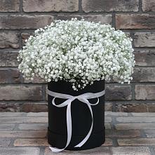 Цветочная композиция из Гипсофила в шляпной коробке в Вёшенской